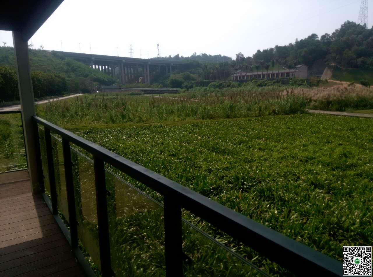 深圳環(huán)境科學研究院甘坑人工濕地沼氣工程