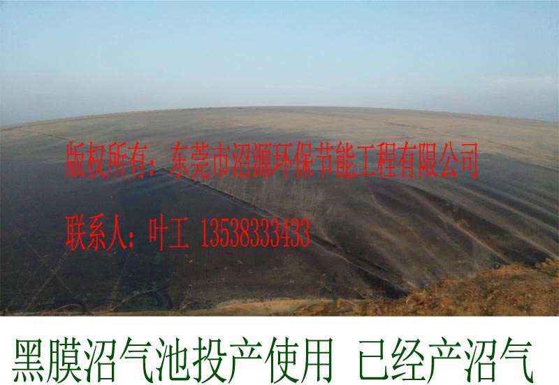 黑膜沼氣池 HDPE土工
